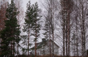 landscape photography of green-leaved trees
