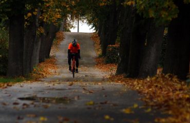 person riding bicycle between trees